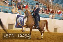 15YN_12252 proof