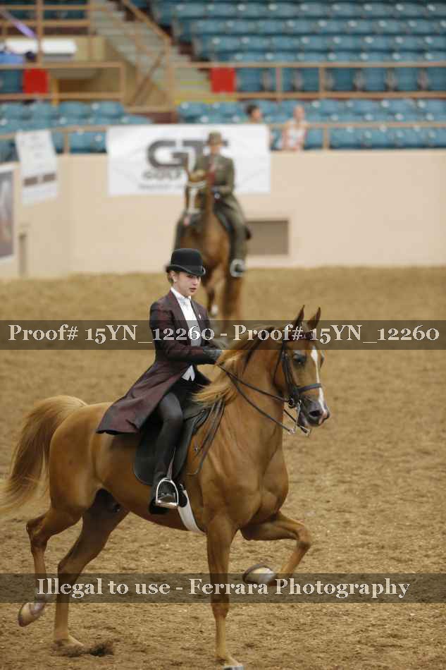 Proof 15YN_12260