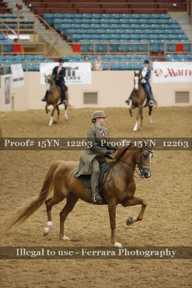 Proof 15YN_12263