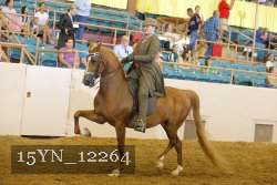 15YN_12264 proof