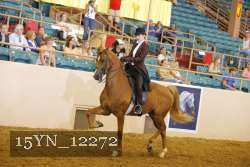 15YN_12272 proof