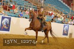 15YN_12274 proof