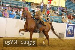 15YN_12275 proof
