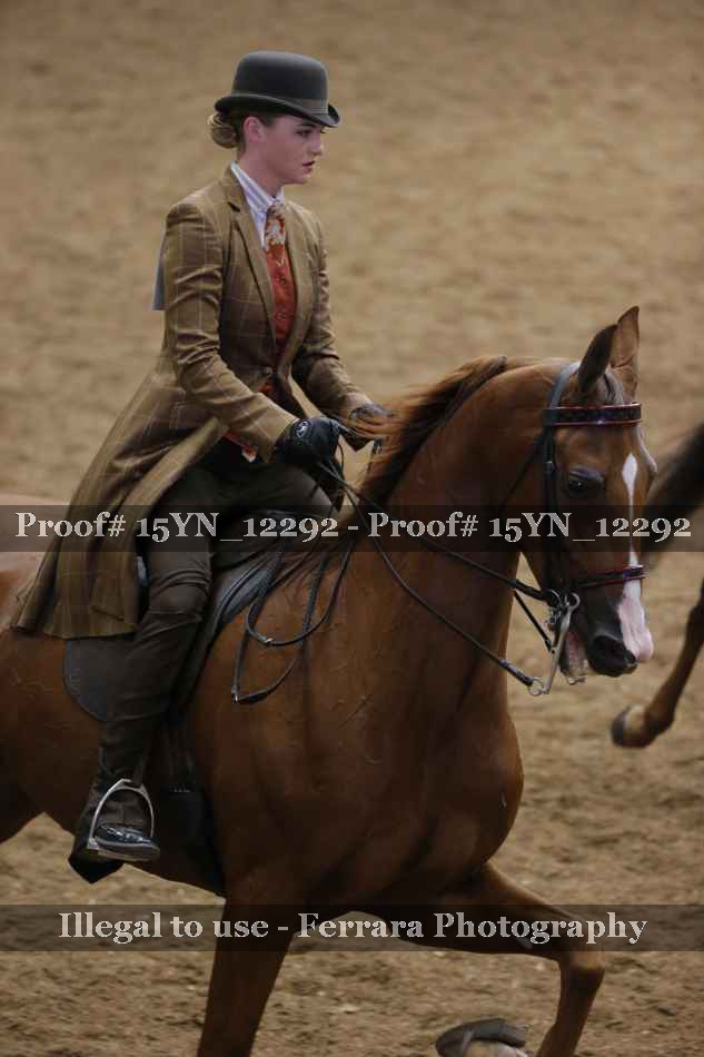 Proof 15YN_12292