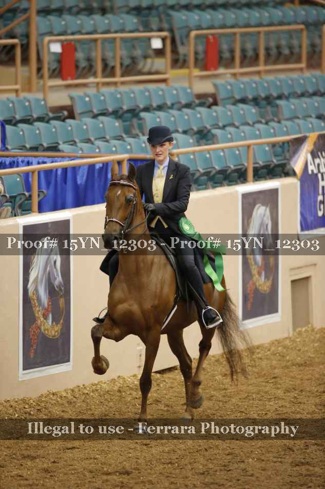 Proof 15YN_12303