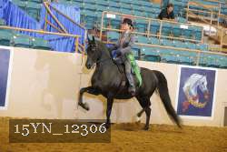 15YN_12306 proof