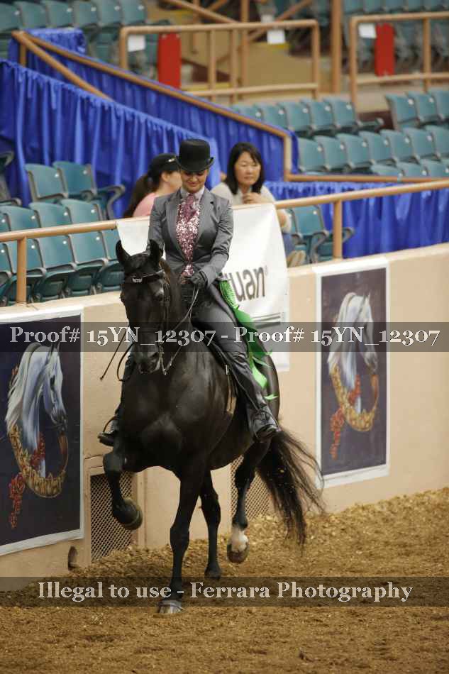 Proof 15YN_12307