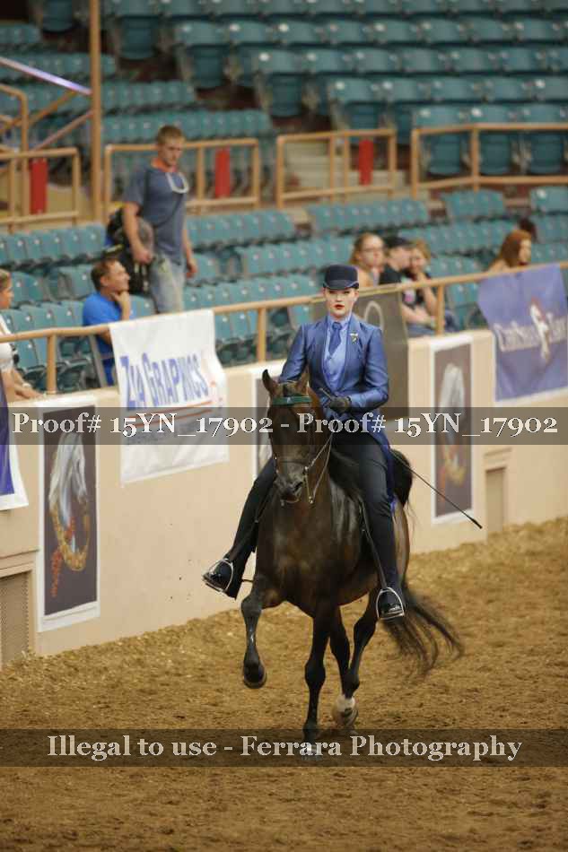 Proof 15YN_17902