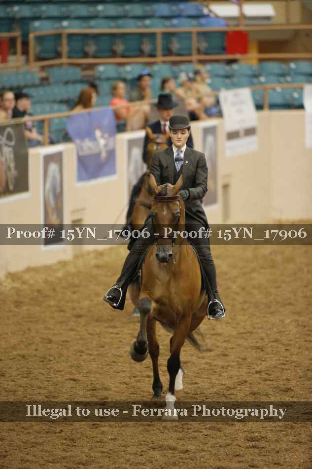 Proof 15YN_17906