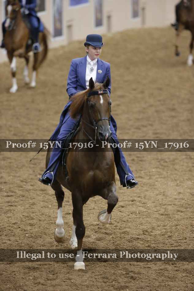 Proof 15YN_17916