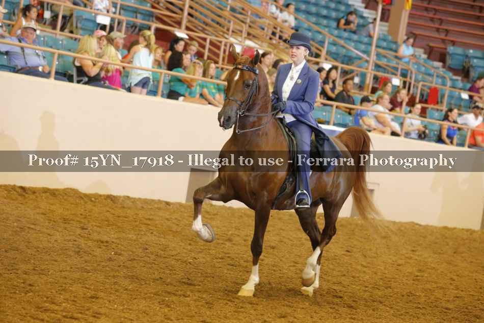 Proof 15YN_17918