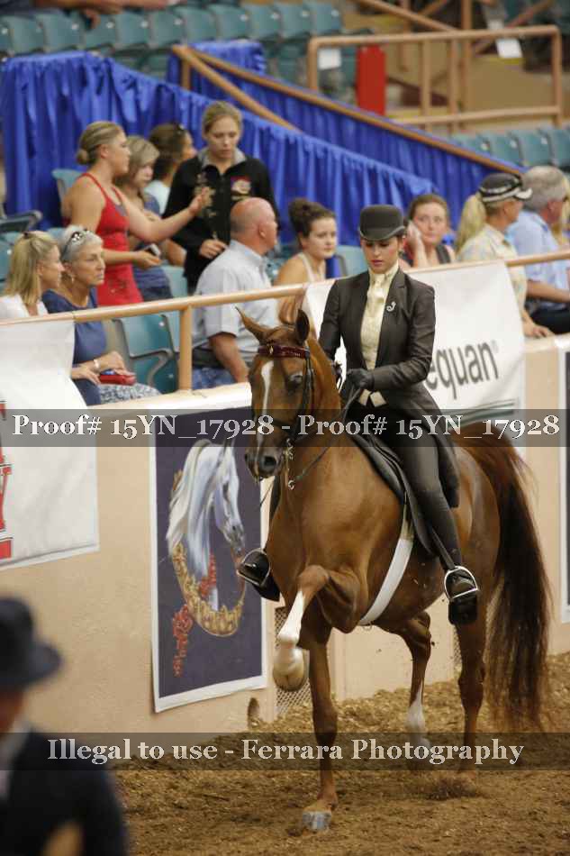 Proof 15YN_17928