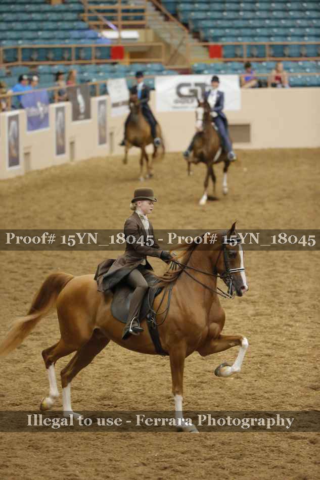 Proof 15YN_18045