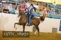 15YN_18051 proof