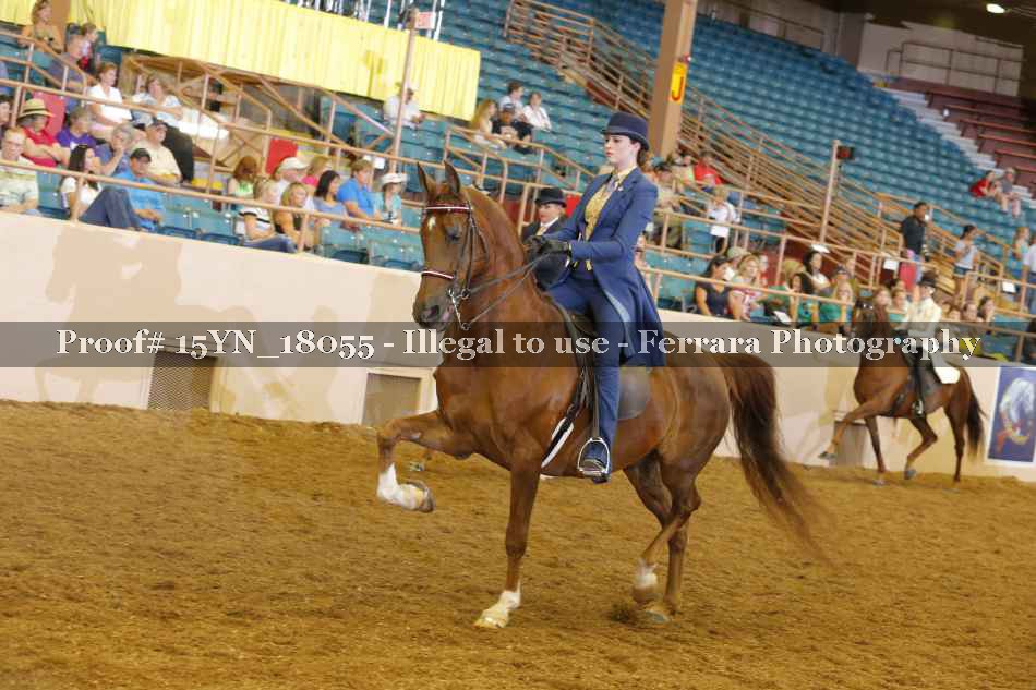Proof 15YN_18055
