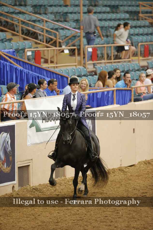 Proof 15YN_18057