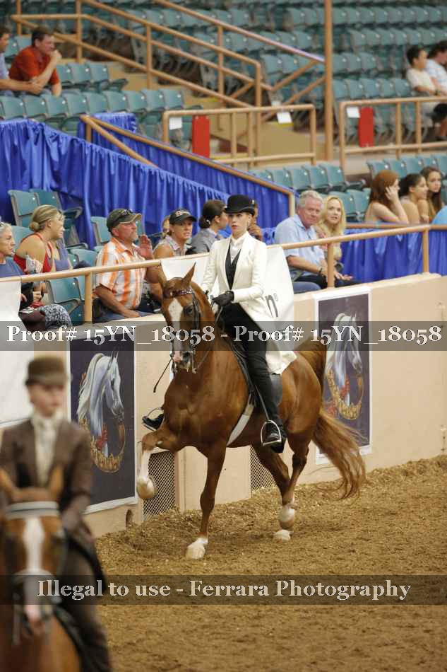 Proof 15YN_18058