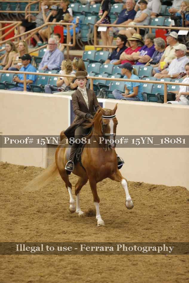 Proof 15YN_18081