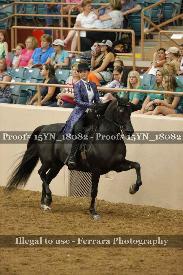 Proof 15YN_18082
