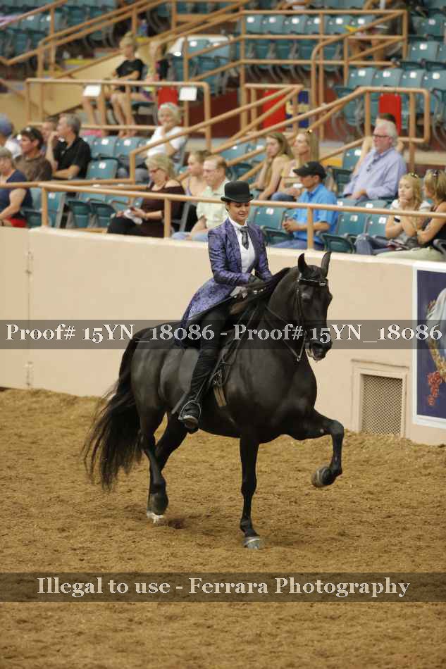 Proof 15YN_18086