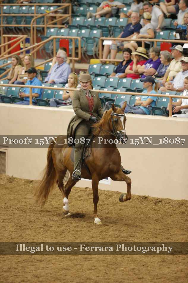 Proof 15YN_18087