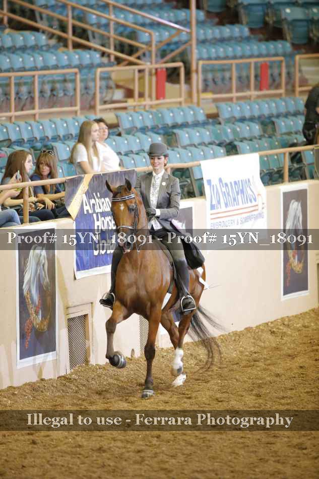 Proof 15YN_18091