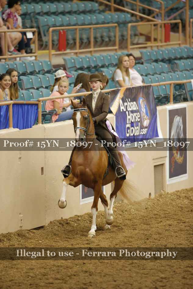 Proof 15YN_18097