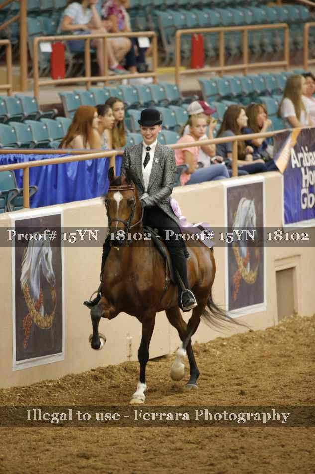 Proof 15YN_18102