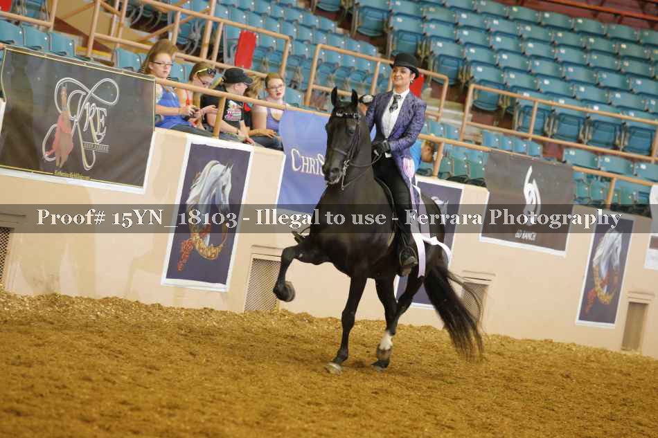 Proof 15YN_18103