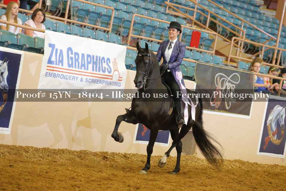 Proof 15YN_18104