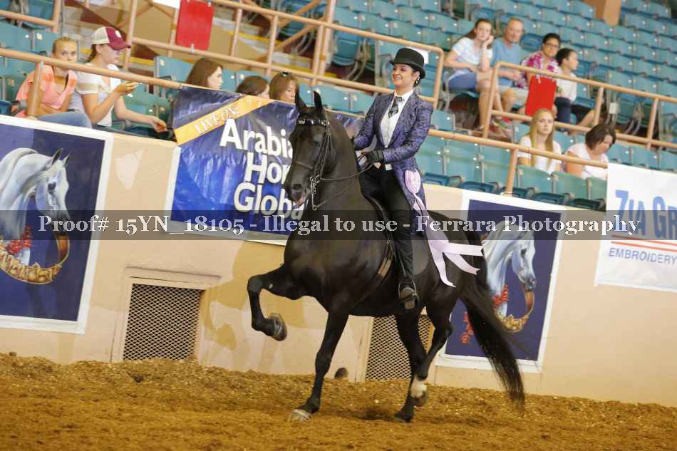Proof 15YN_18105