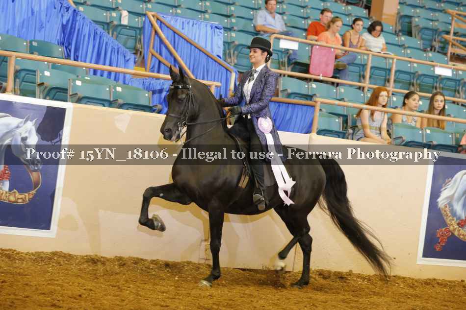 Proof 15YN_18106