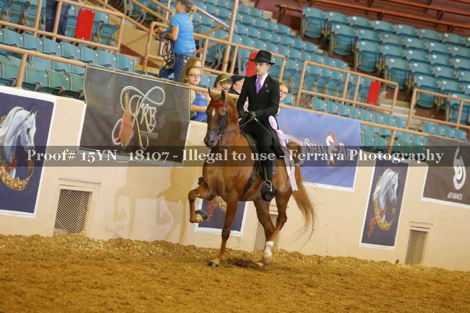 Proof 15YN_18107