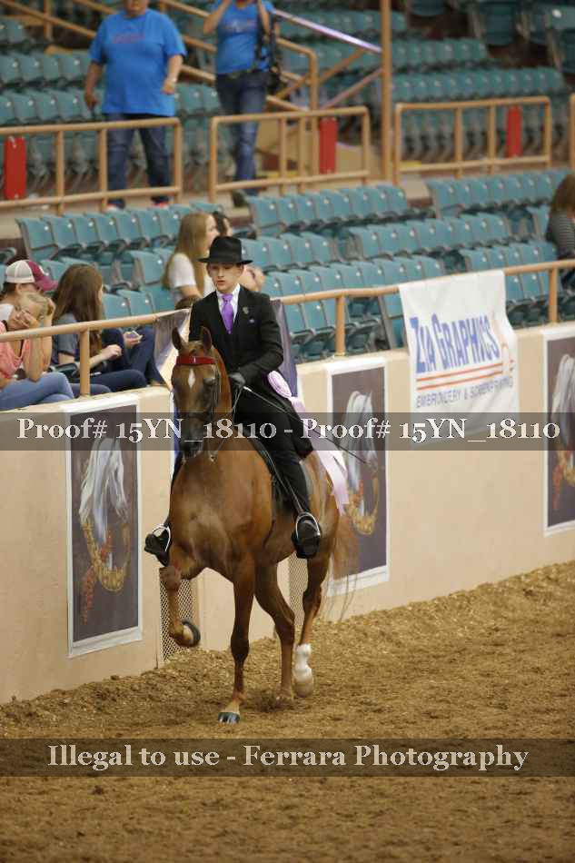 Proof 15YN_18110