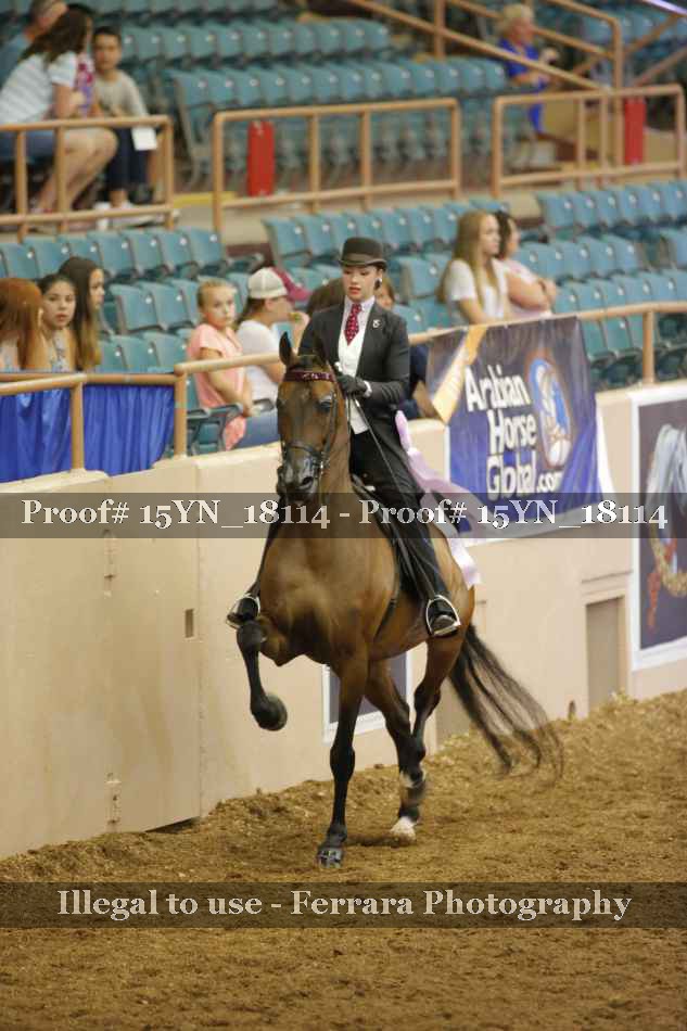 Proof 15YN_18114