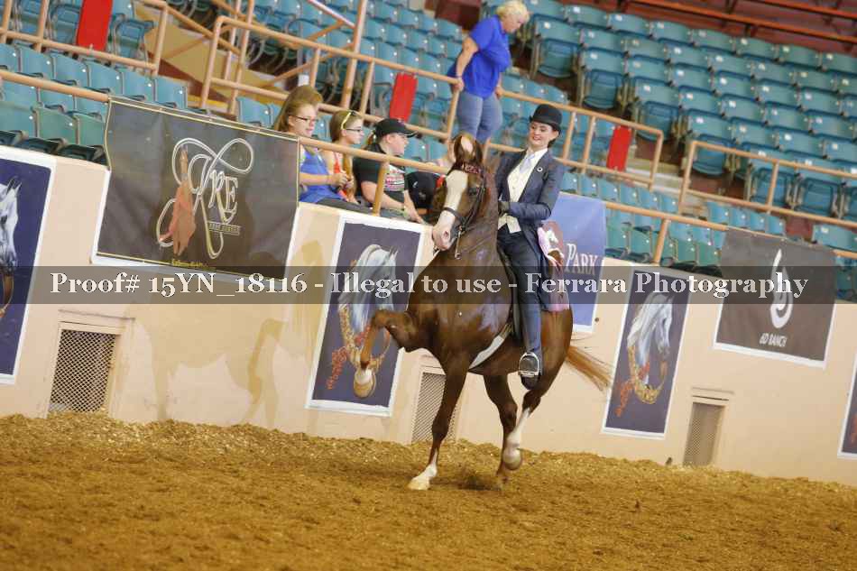 Proof 15YN_18116