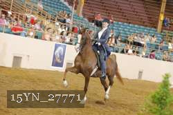 15YN_27771 proof