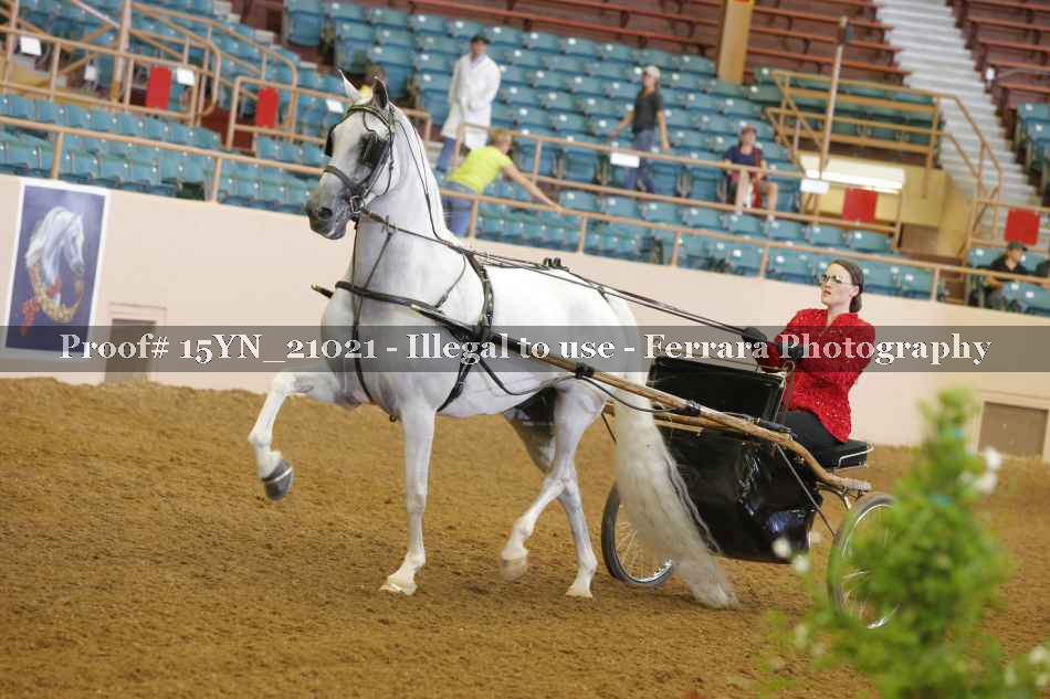 Proof 15YN_21021