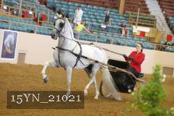 15YN_21021 proof