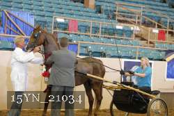 15YN_21034 proof
