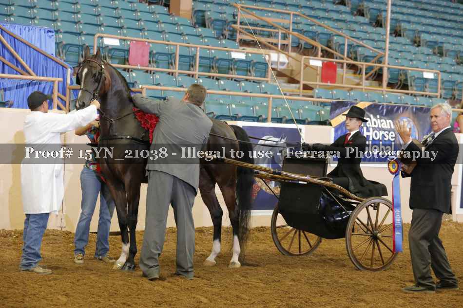 Proof 15YN_21038