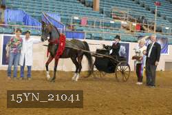 15YN_21041 proof