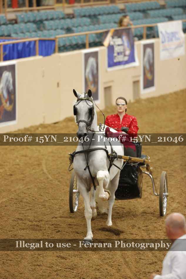 Proof 15YN_21046