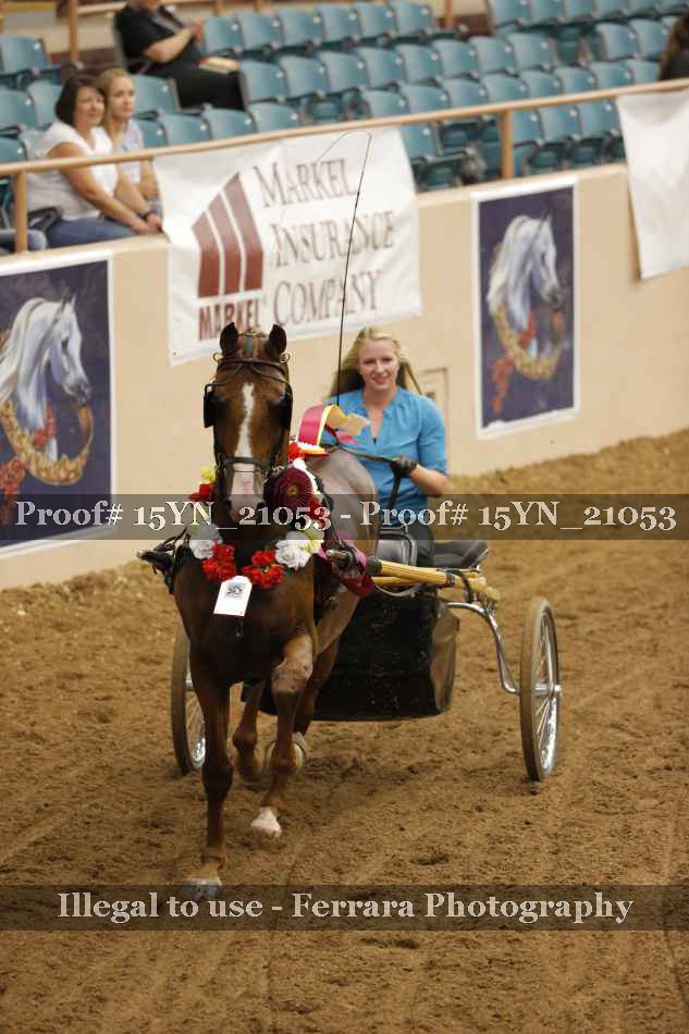 Proof 15YN_21053