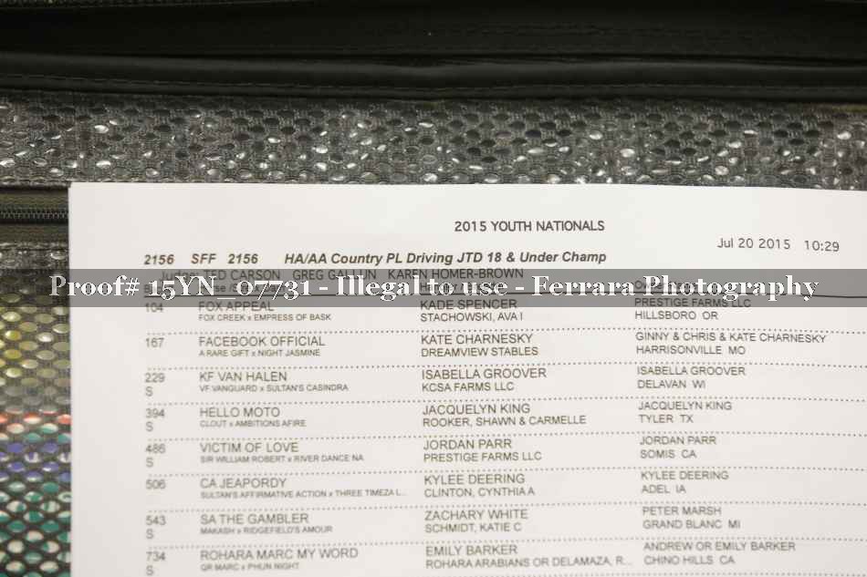 Proof 15YN_07731