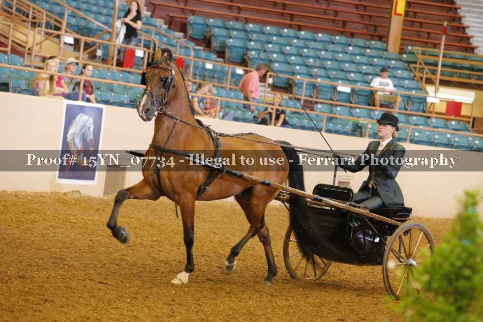 Proof 15YN_07734