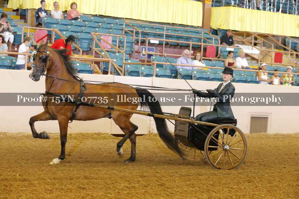 Proof 15YN_07735