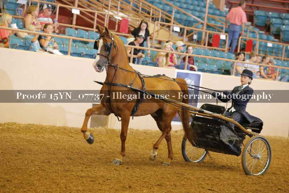 Proof 15YN_07737