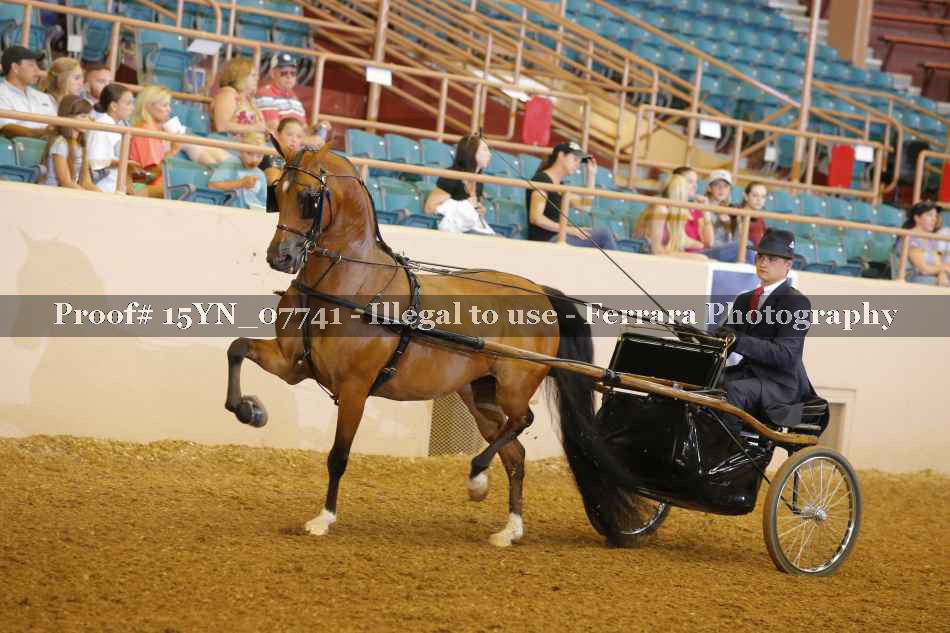 Proof 15YN_07741