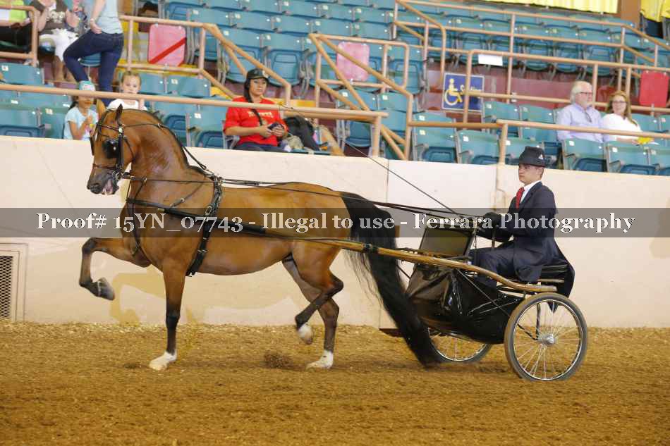 Proof 15YN_07743